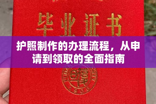 高州护照制作的办理流程，从申请到领取的全面指南