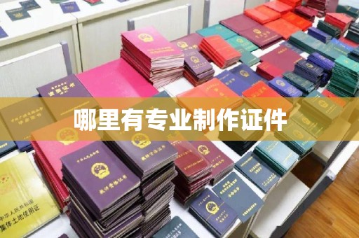 高州哪里有专业制作证件